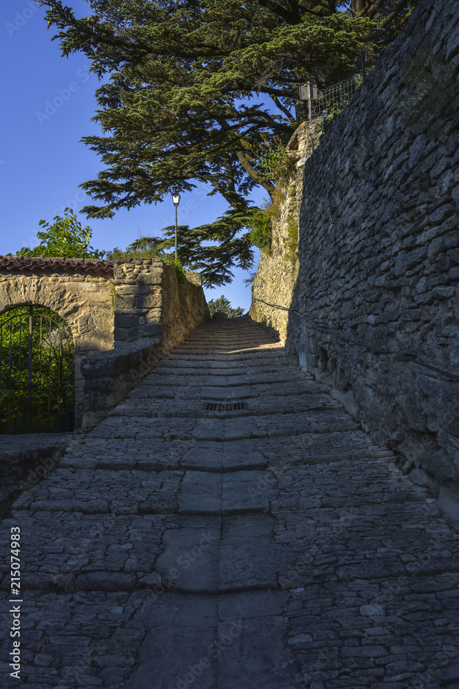 food path in Bonnieux under typic cedars trees, Provence, France, massif of Luberon, ascent to old church of the village, region Provence-Alpes-Côte d'Azur