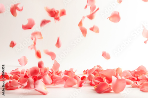 Fototapeta Naklejka Na Ścianę i Meble -  Beautiful rose petals falling on light background