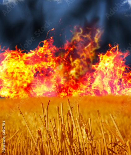 Wheatfield Burns, flames and black smoke