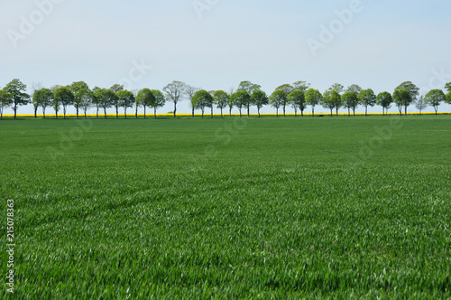 Gallardon, France - may 6 2016 : countryside photo