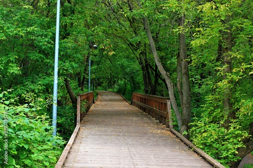 bridge
