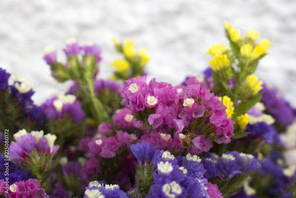 Obraz premium Closeup of limonium flowers in full bloom