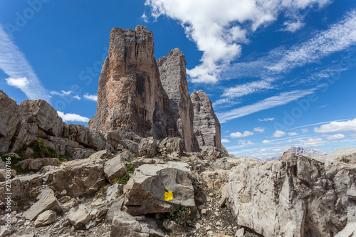 Lonely yellow flower at the foot of the Tre Cime di Lavaredo, Dolomites, Italy