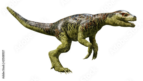 3D Rendering Dinosaur Tyrannosaurus Hatchling on White