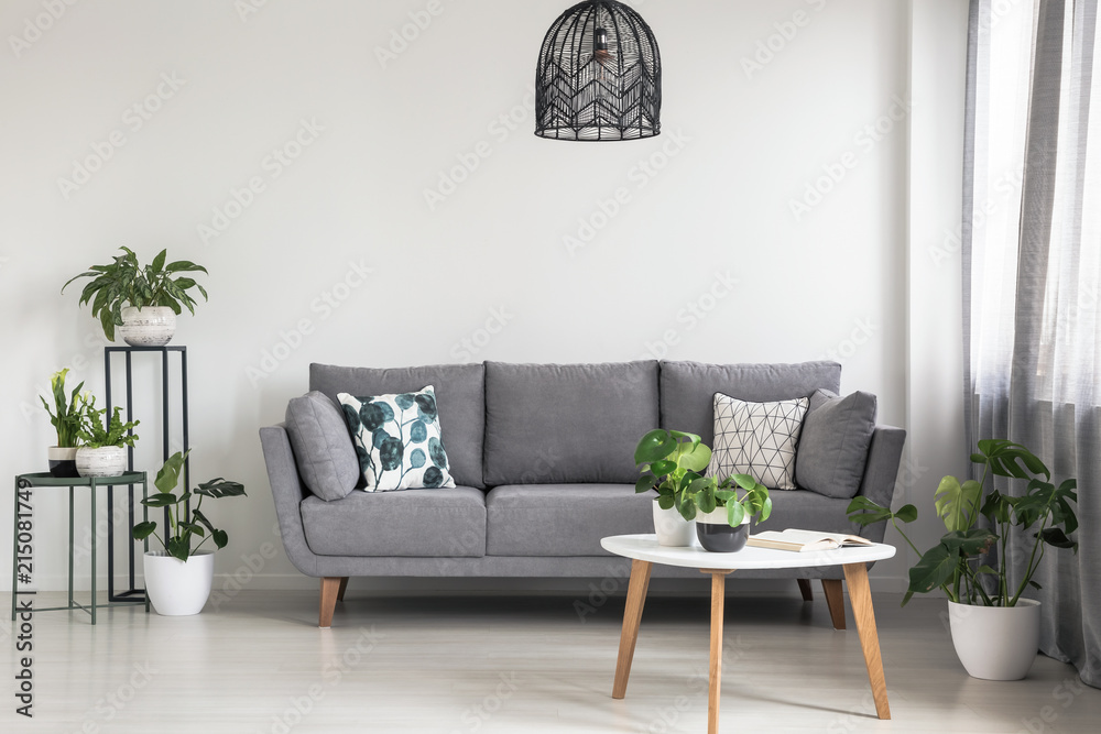 Real photo of a simple living room interior with a grey sofa, plants ...