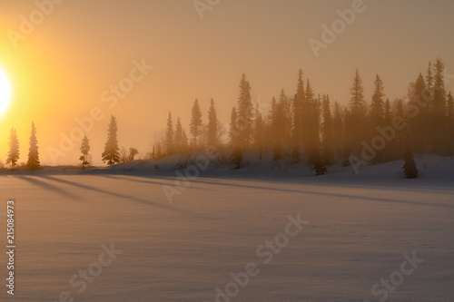 Foggy Dawn in Alaska © Daniel
