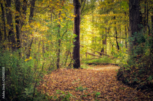 Tablou pe pânză Nature retreat