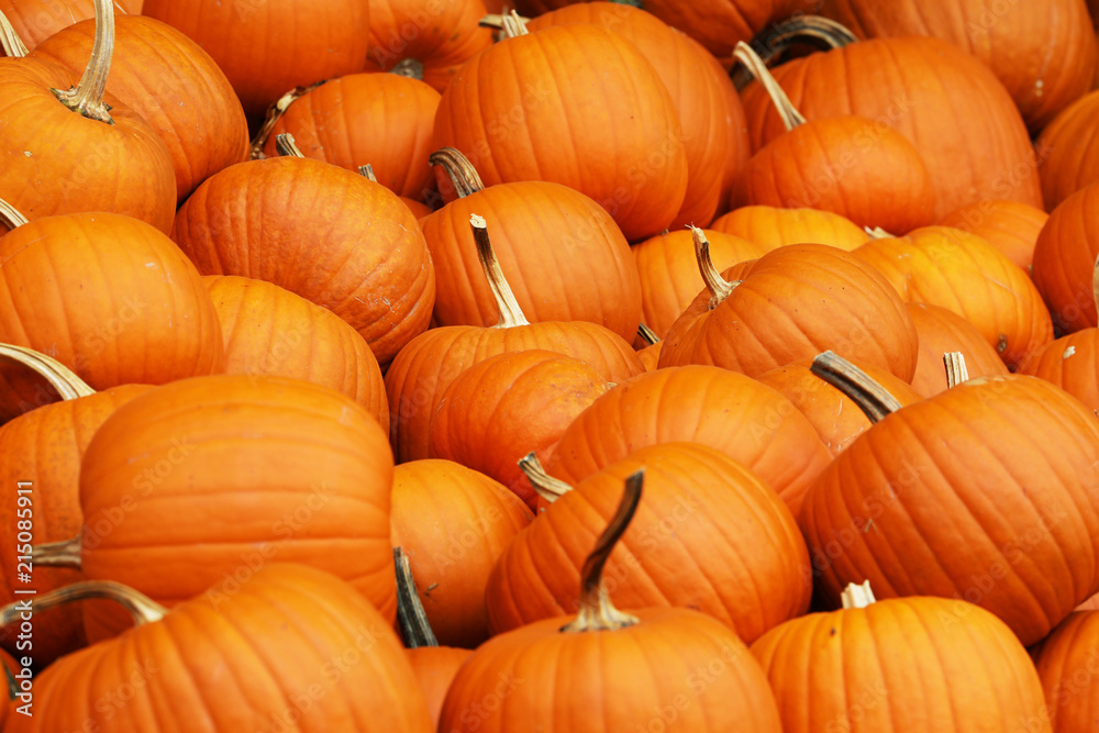 A collection of orange pumpkins on an autumn market in Switzerland A collection of orange pumpkins on an autumn market in Switzerland