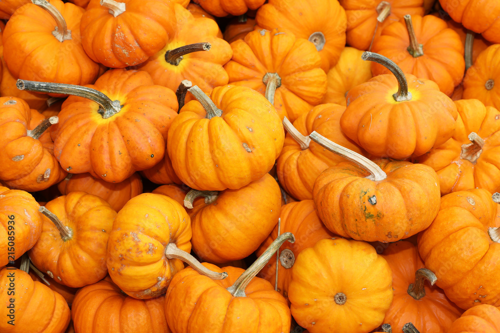 A collection of orange pumpkins on an autumn market in Switzerland A collection of orange pumpkins on an autumn market in Switzerland