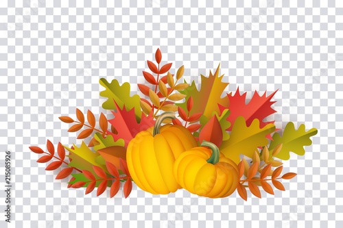 Autumn leaves and pumpkins pattern on transparent background. Seasonal floral maple oak tree orange leaves with gourds for thanksgiving holiday, harvest decoration vector design.