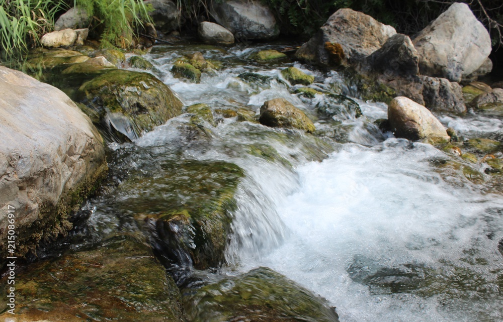 Agua en libertad Agua en libertad
