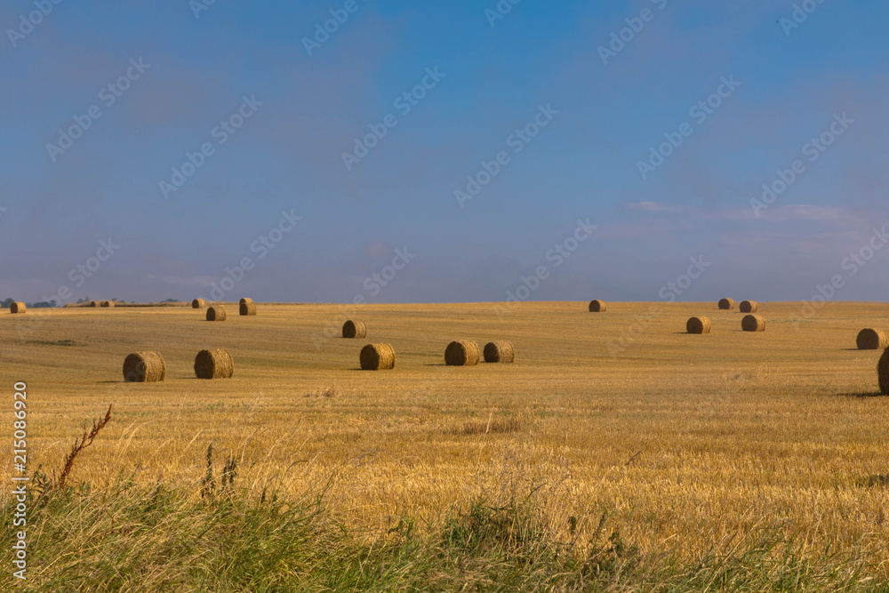 Spätsommer, Strohernte