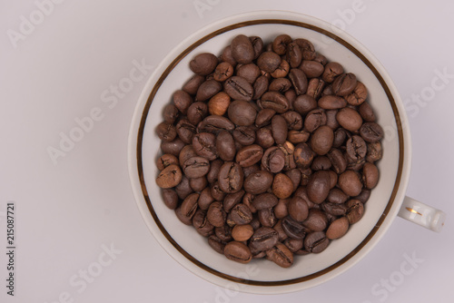 Coffee seeds on a colored background