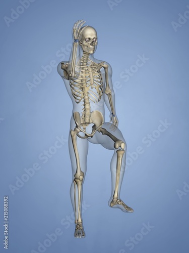 Carpus, Human Skeleton, 3D Model