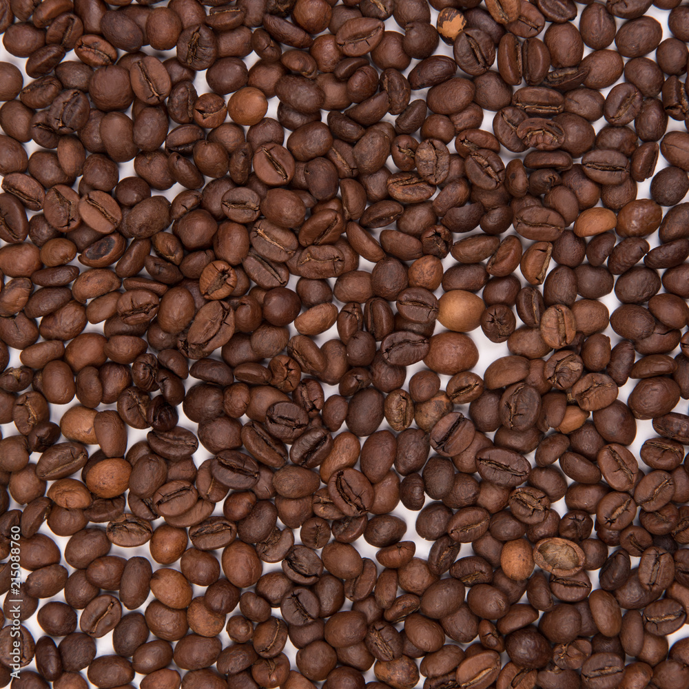 Coffee seeds on a colored background Coffee seeds on a colored background