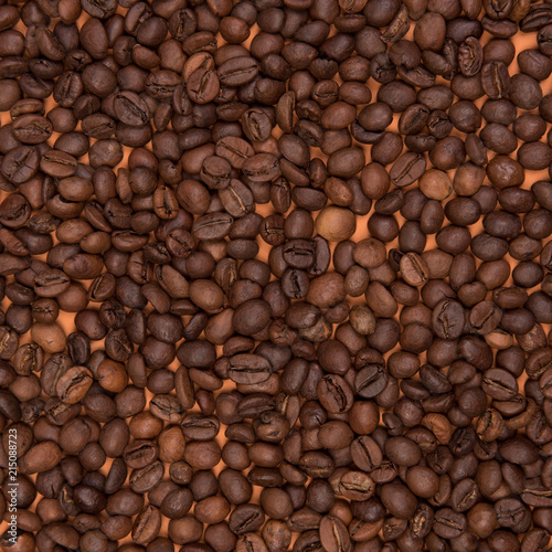 Coffee seeds on a colored background