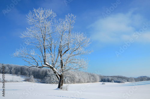 Winterlandschaft auf der Schwaebischen Alb © JRG