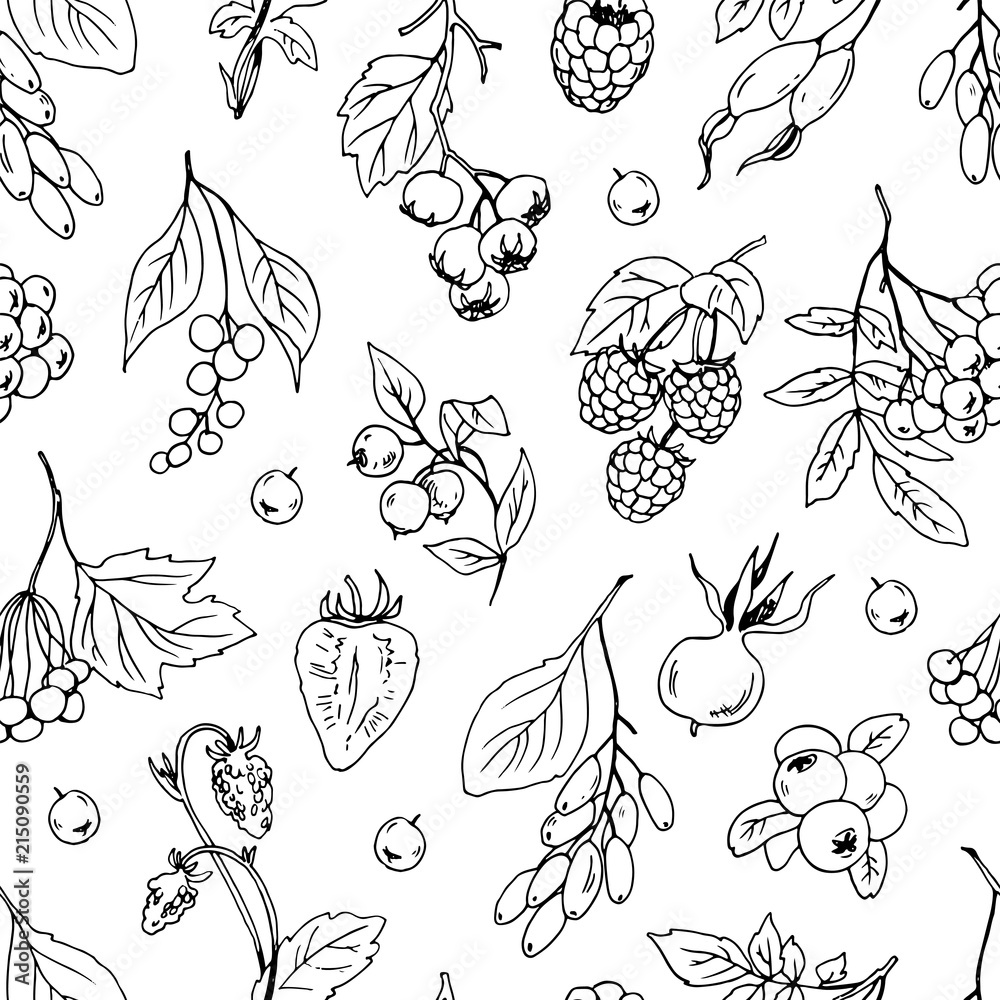 Different berries seamless vector pattern. Different berries seamless vector pattern.