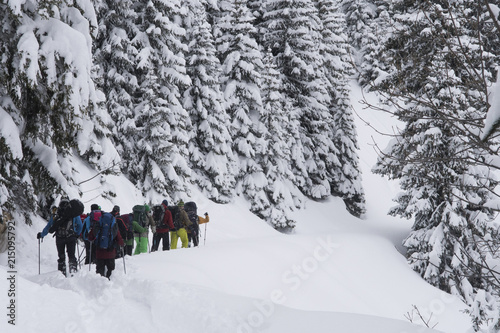 Schneeschuhtour im Saanenland VI photo