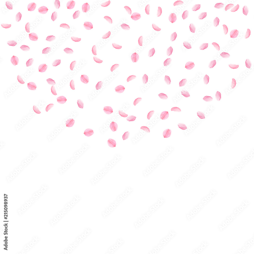 Sakura petals falling down. Romantic pink silky small flowers. Sparse flying cherry petals. Top semi