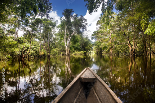 Sailing with wooden canoe in the flooded forest of the Amazon, Leticia, Colombia.