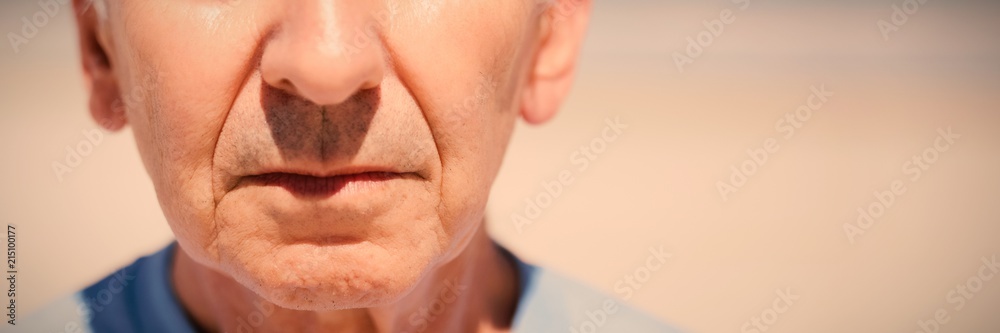 Obraz premium Close up portrait of senior man at beach