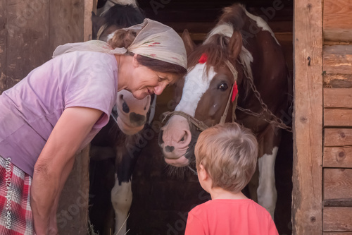 Granmother is teaching grandson how to hold the bridle Horses at the stable are waiting for oat Summer holidays at the village