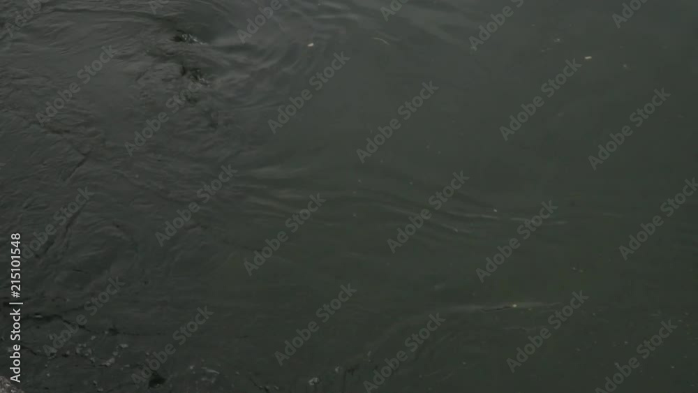 Flowing and splashing water in cold river Flowing and splashing water in cold river