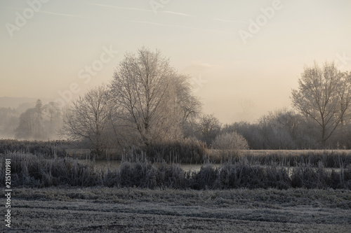 Trees with hoarfrost on an ice cold winter morning and a frozen pond in the foreground in central Switzerland