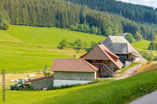 Traditional Black Forest Farm House