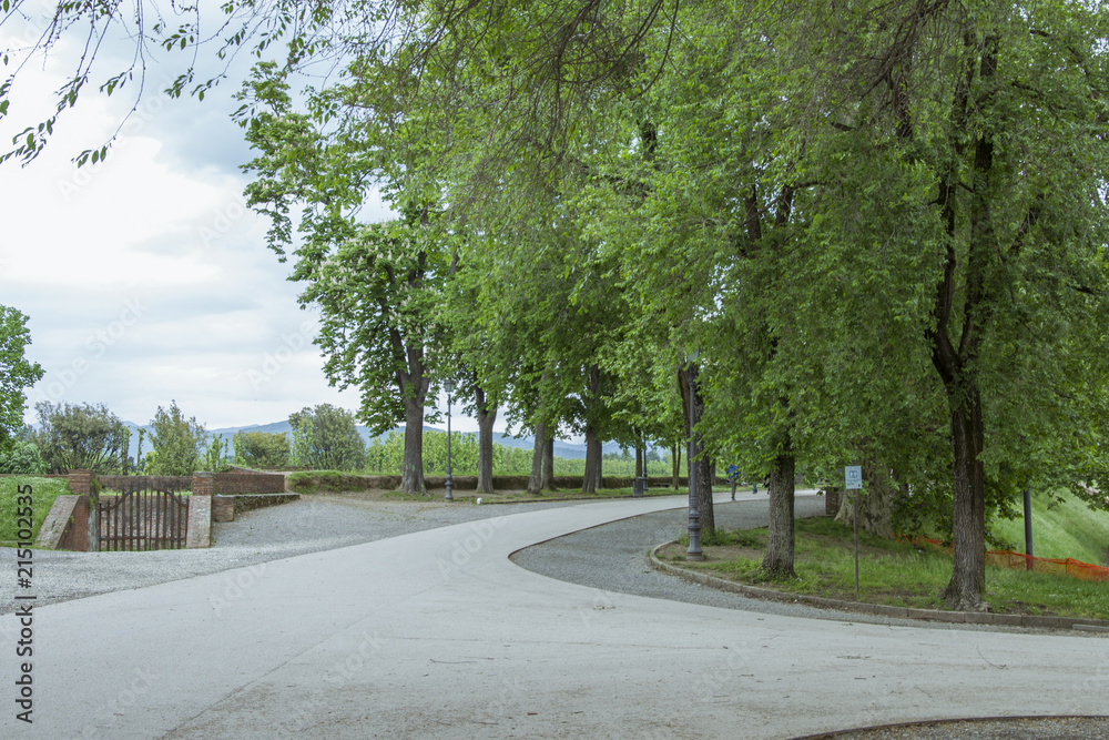 Park on the historic walkable city wall of the Italian city of Lucca in the Pisa region