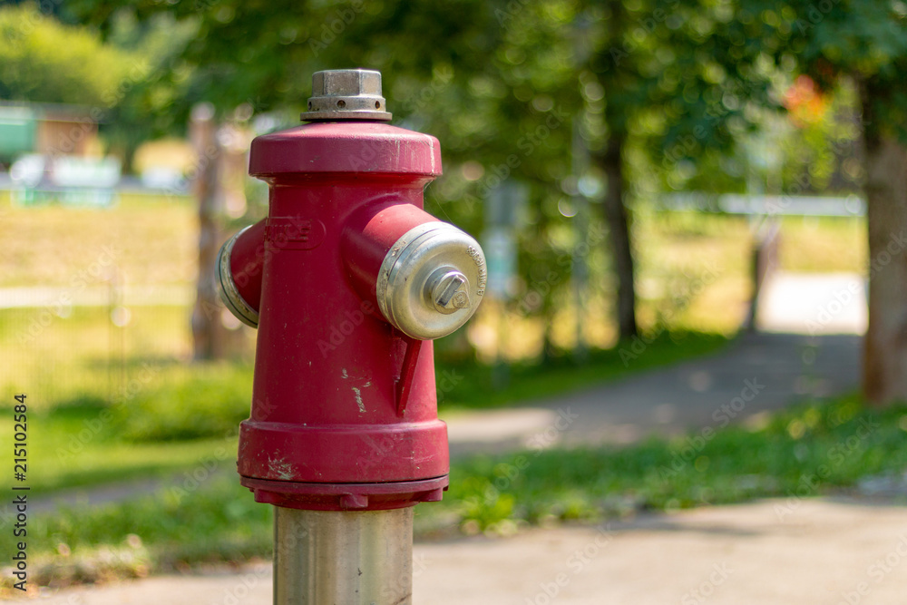 TODTMOOS, GERMANY - JULY 20 2018: Red Fire Hydrant in Park Todtmoos TODTMOOS, GERMANY - JULY 20 2018: Red Fire Hydrant in Park Todtmoos