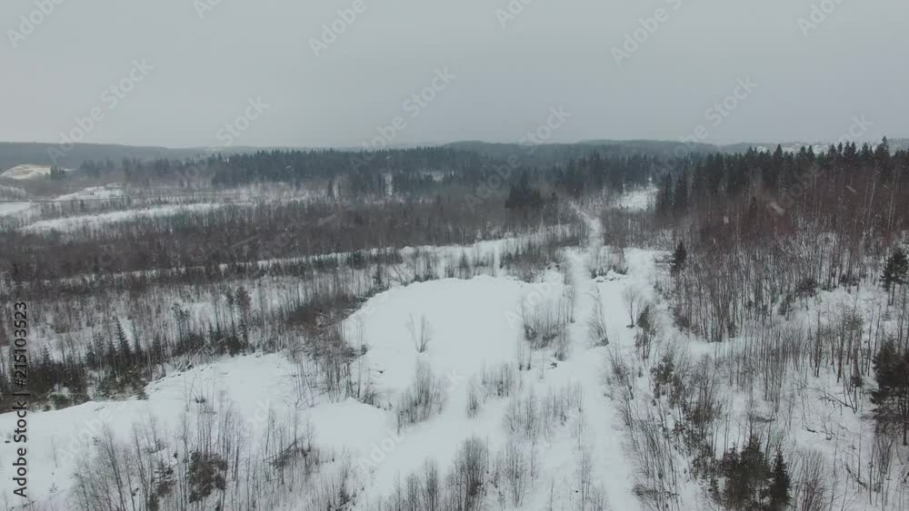 Flight over the bald winter forest in cloudy weather with a snowfall. Rural landscape with snow coverd glades, various trees, firs, pines, hills, paths. Russia, Karelia. Flight over the bald winter forest in cloudy weather with a snowfall. Rural landscape with snow coverd glades, various trees, firs, pines, hills, paths. Russia, Karelia.