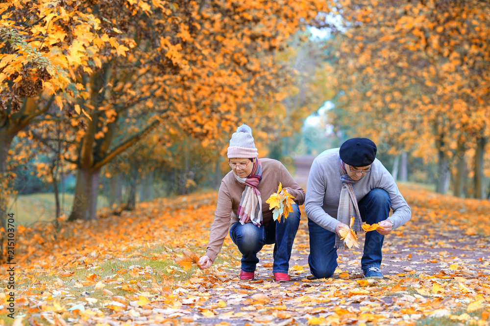 Laub sammeln - Herbst