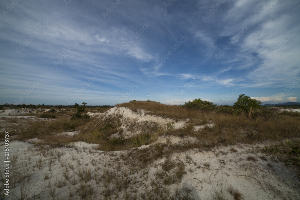 Grasslands and sand on the Beach with blue sky.jpg Grasslands and sand on the Beach with blue sky.jpg