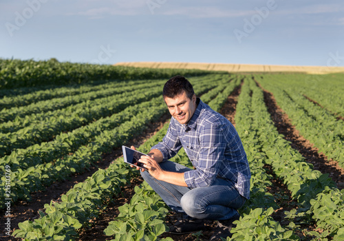Farmer in soybean field