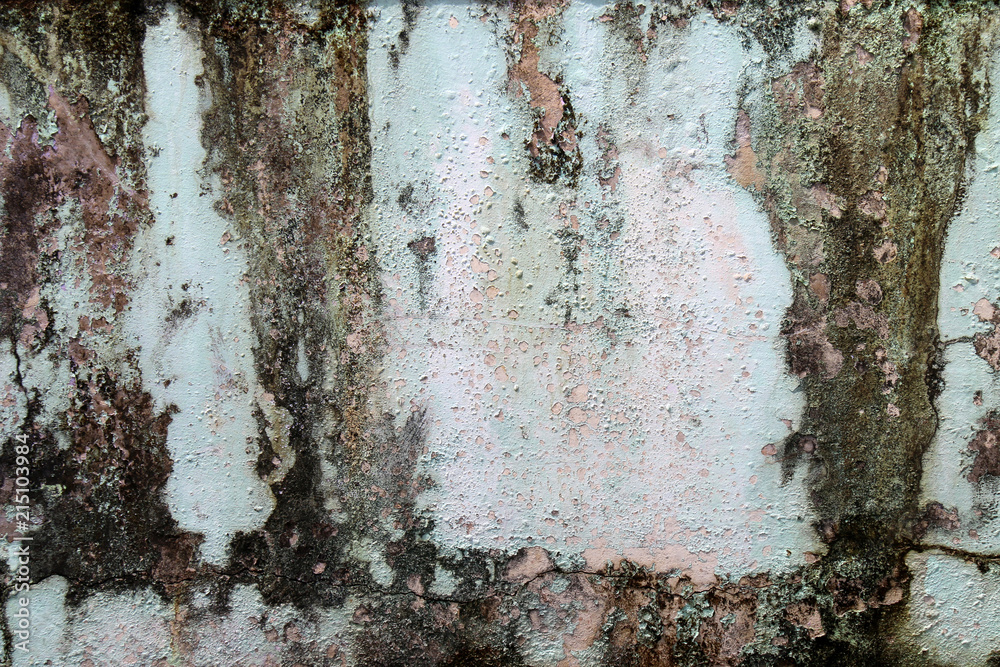 Fototapeta premium Traces of time left on the wall. Old concrete background. Moldiness walls. Abstract textures.