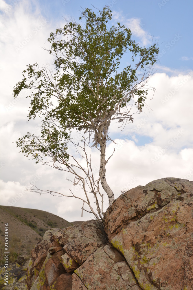 nature landscape landscape mountains valley hills rocks cave water waterfall stream river stream rock stone sky grass trees green blue white tourism excursions Russia 