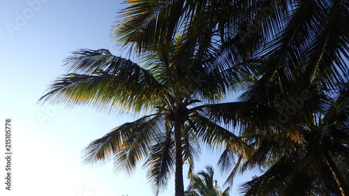 Unterwegs auf Sansibar - Palmen Sonne Strand und mehr