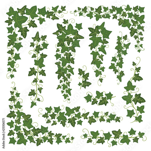 Ivy branches green set