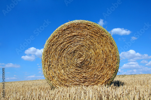 Round bale of straw on a field and blue sky