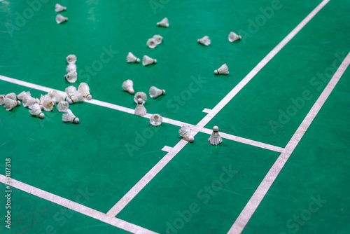 badminton shuttlecock with white line on green court © ttanothai