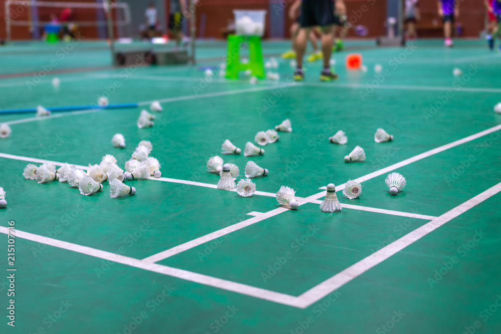 badminton shuttlecock with white line on green court