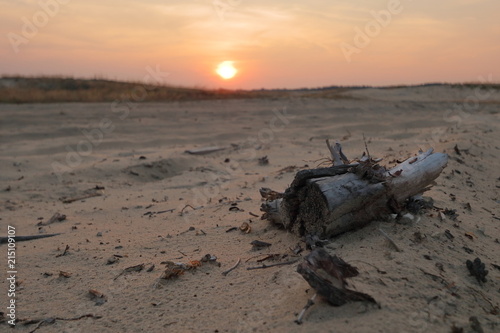 Zachód słońca na Pustyni Błędowskiej, Polska, pusto, nikogo, ogniste kolory nieba, spróchniały pień drzewa leży na piasku