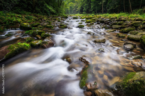 The Stream