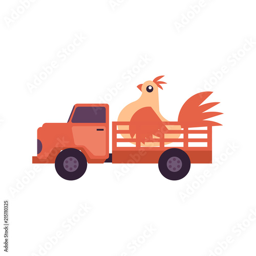 Flat farmer truck pickup delivering livestock animals - chicken in body. Farming transportation and organic food. Vector isolated illustration