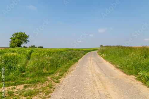 A country road through a green French landscape
