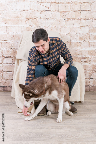A man and a hussy dog are posing in the studio. The basics of training pets.