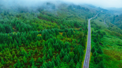 Fototapete Luftbild Schmale Waldstraße von oben gesehen  © 4kclips