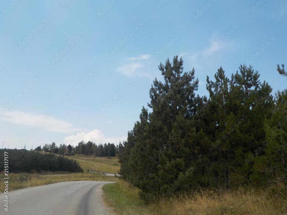 Fototapeta premium road